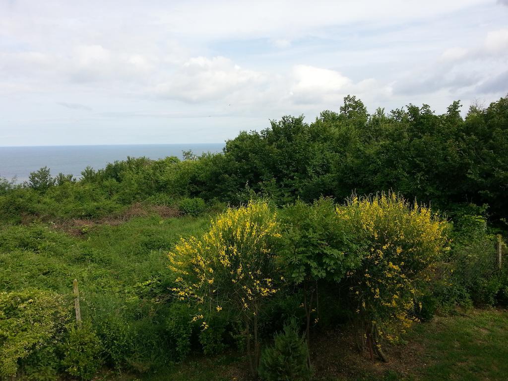 Sea View Family Hotel Kranevo Bagian luar foto